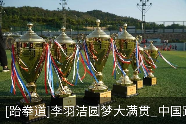 [跆拳道]李羽洁圆梦大满贯 中国跆拳道队五将全摘牌